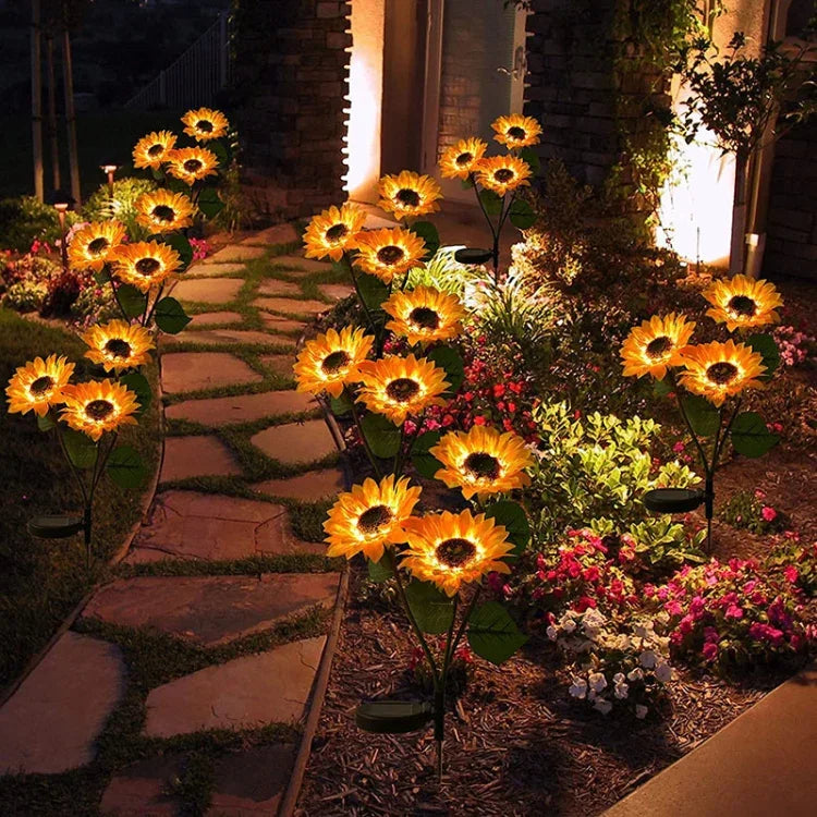 Garden & Outdoor