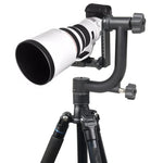 YELANGU Horizontal 360 Degree Gimbal Tripod Head for Home DV and SLR Cameras, YLG0401E