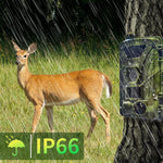 PR802G 4G EU Version 4K HD Night Vision Infrared Motion Detection Hunting Camera, PR802G