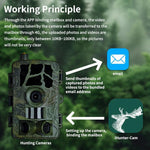 PR804G 4G EU Version 1080P HD Night Vision Infrared Hunting Camera, PR804G