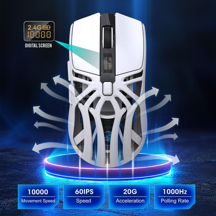 نص بديل للصورة