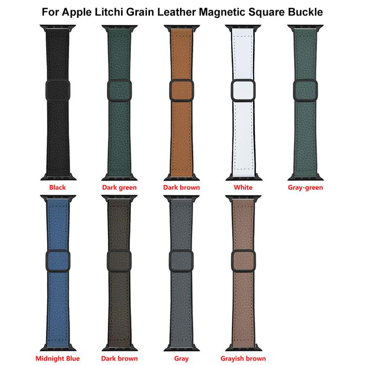 xDfind Litchi Texture Vegan Leather Magnetic Buckle Watch Band, For Apple Watch 42 / 44 / 45 / 46 / 49mm, For Apple Watch 38 / 40 / 41 / S11 42mm