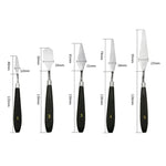 5 in 1 QST EXPRESS Art Supplies Paint Toning Stainless Steel Scraper, 5 in 1 (Black)