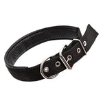 Adjustable foam cotton dog collars in black with a sturdy buckle, ideal for big and medium-sized dogs.