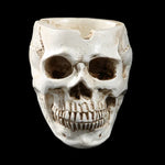 Halloween Utensils Resin Skull Ashtray Personality Home Decoration