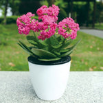 Lazy Flower Pots Automatic Water-absorbing Hydroponic Potted Plants Circular Resin Plastic Flower Pots Double-layer Design Self Watering Planter, Diameter: 13cm, Height: 13.7cm, Diameter: 13cm, Height: 13.7cm