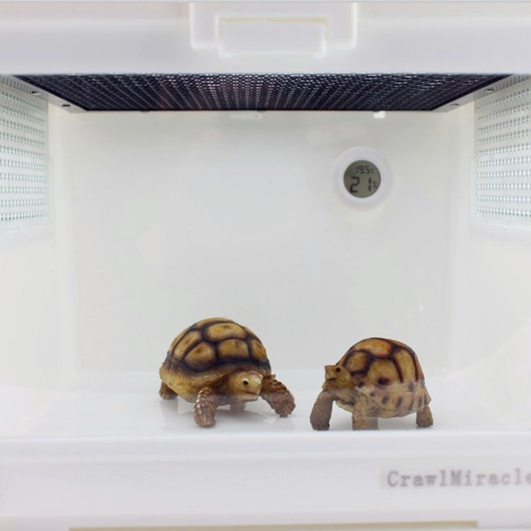 画像代替テキスト