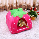 Strawberry Shaped Foldable Short Plush Pet House Nest, Size: M, Pink, Size M, Blue, Size M, Purple, Size M, Red, Size M