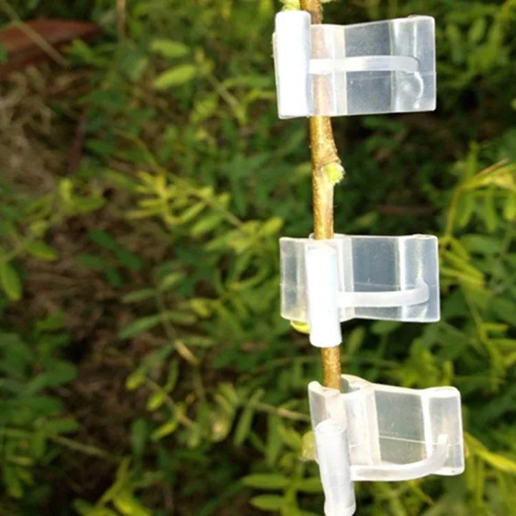 100 PCS Plant Grafting Gardening Plastic Grafting Folder Grafting Clip Transparent Gardening Plastic Grafting Clip Tomatoes Grafting Clips, Plant Grafting Clips