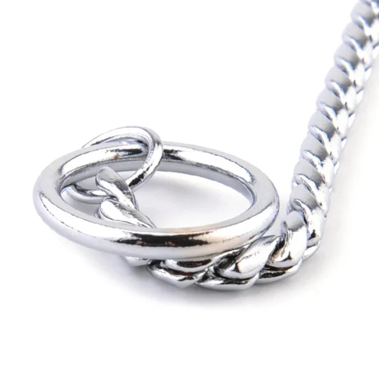 Close-up of a metal dog collar chain showcasing its smooth surface and durable design.