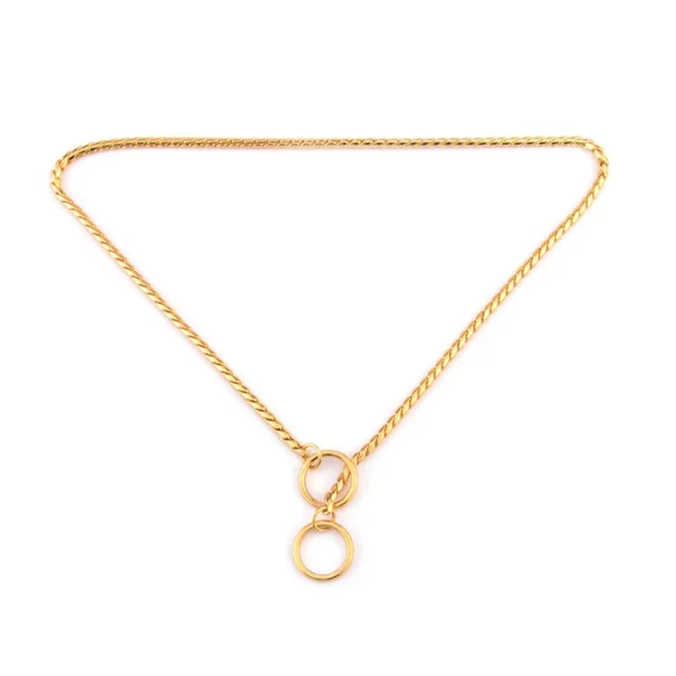 Metal dog collar with a stylish gold snake chain design, featuring circular accents. Ideal for fashionable pets.