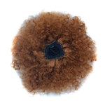 European and American Black People Explosion Head Fluffy Curl Hair Net Wig