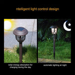 Solar Energy Coffee Outdoor Lawn Lamp IP65 Waterproof LED Decorative Garden Light