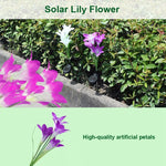 Simulated Lily Flower 4 Heads Solar Powered Outdoor IP55 Waterproof LED Decorative Lawn Lamp, White Light, White Light