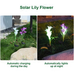 Simulated Lily Flower 4 Heads Solar Powered Outdoor IP55 Waterproof LED Decorative Lawn Lamp, White Light, White Light