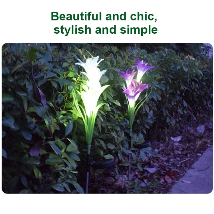 Simulated Lily Flower 4 Heads Solar Powered Outdoor IP55 Waterproof LED Decorative Lawn Lamp, White Light, White Light