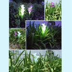 Simulated Lily Flower 4 Heads Solar Powered Outdoor IP55 Waterproof LED Decorative Lawn Lamp, White Light, White Light