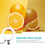 PULUZ 6.2 inch 16cm USB 10 Modes 8 Colors RGBW Dimmable LED Ring Vlogging Photography Video Lights with Tripod Ball Head, 6.2 inch RGBW