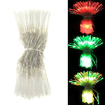 100 LED RGB Light with Controller, Flashing / Fading / Chasing Effect