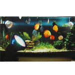 36 LED Amphibious Fish tank / Aquarium Colorful Light, Waterproof depth: 1-1.5m