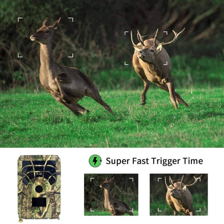 Image alt