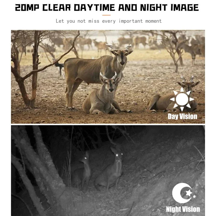 PR700 1080P Wildlife Hunting Camera Motion Activated Night Vision Camcorder for Outdoor Tracking Scan Trigger, PR700