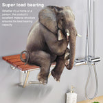 Folding Solid Wood Wall Mounted Relaxation Shower Chair, F Fype Folding Solid Chair