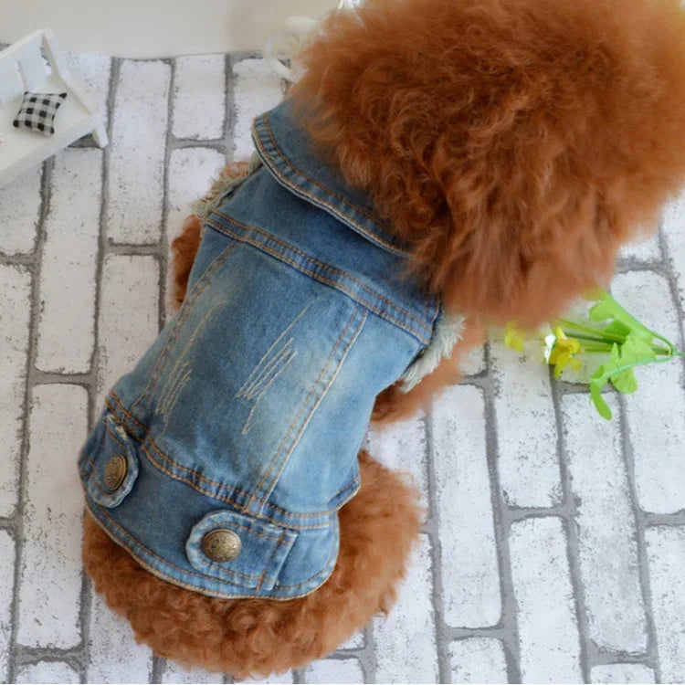Retro Personality Denim Small Vest Pet Dog Clothes Pet Jacket, L, XL, XS, M