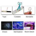 2835 SMD UV Purple Light Strip LED Lamp Decorative Light Strip, Waterproof 5m, Waterproof 10m, Bare Board 5m, Bare Board 10m