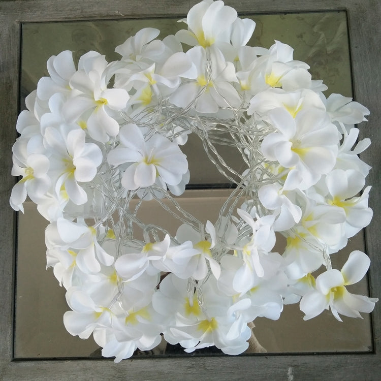 Image alt