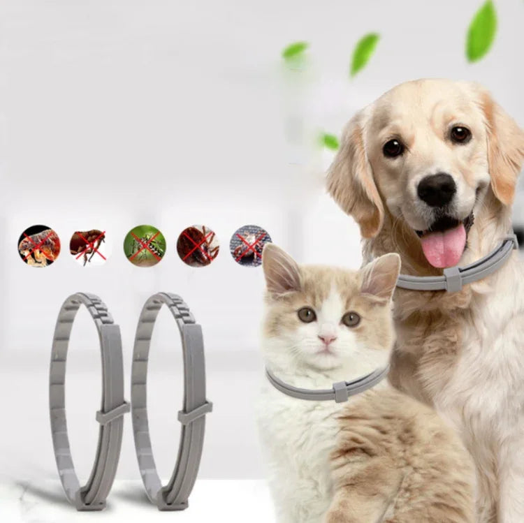 Pet Flea & Anti-Lice Collar Pet In Vitro Insect Repellent Ring, Small Dog/38cm, Large Dog/70cm