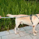 Dog Outdoor Anti-Scourge Traction Rope Nylon Reflective Elastic Stretch Dog Walking Rope, Elastic Stretch Yellow, Elastic Stretch Green
