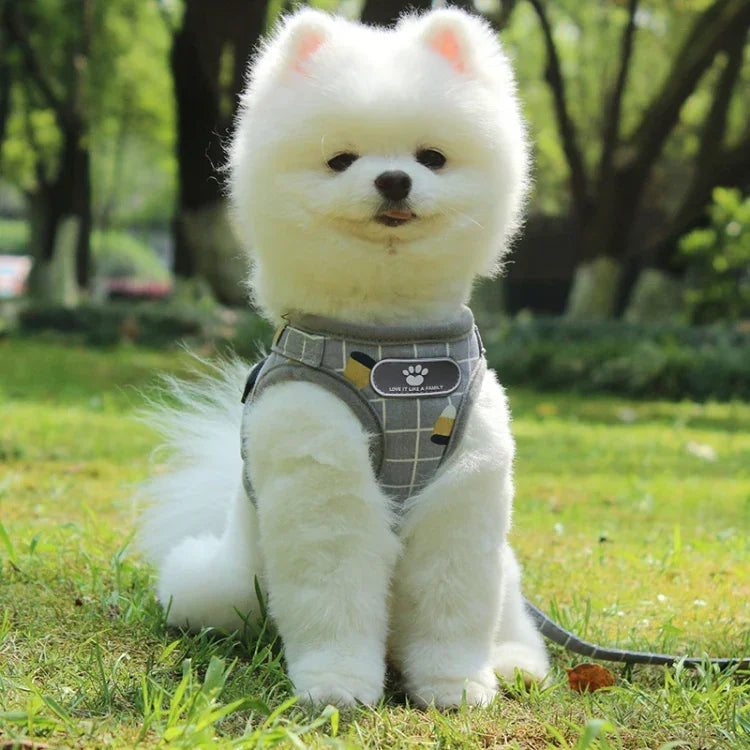Reflective & Breathable Vest Traction Rope Pet Chest Leash, XS, S, M, XL