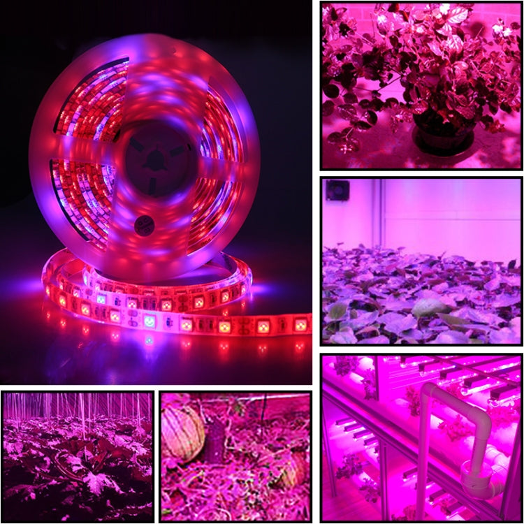 5m 300 LEDs SMD 5050 Full Spectrum LED Strip Light Fitolampy Grow Lights for Greenhouse Hydroponic Plant, Waterproof