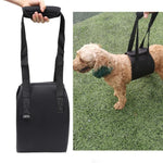 HCPET F1905 Disabled Dogs Assistive Belts Elderly Dogs Walking Assisted Leashes Pet Supplies, S, M, L