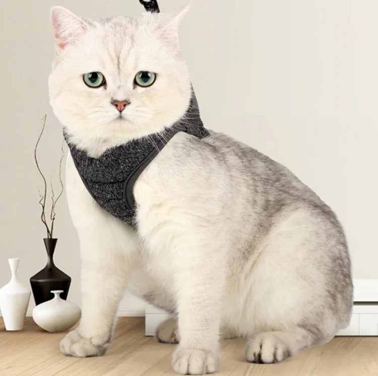 Cat Leash Pet Chest Harness Leash, S