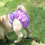 Pet Physiological Pants Pet Waterproof Panties, XS, S, M, L, XL