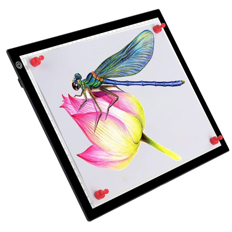 Image alt