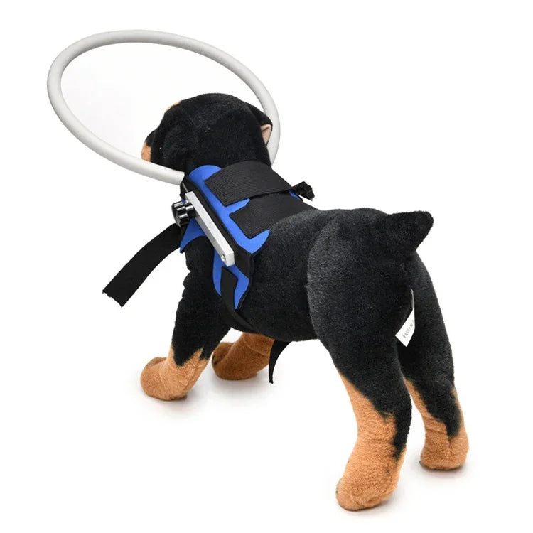 Dog Blindness Anti-Collision Ring Animal Protection Ring Cover Guide Ring, S, M
