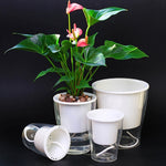 Fully Transparent Hydroponic Flower Pots Water Level Visible Non-Broken Glue Self-Absorbent Plastic Flower Pots, W03 Caliber 11cm, W05 Caliber 13cm, W09 Caliber 17.5cm, W10 Caliber 17.5cm