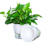 Fully Transparent Hydroponic Flower Pots Water Level Visible Non-Broken Glue Self-Absorbent Plastic Flower Pots, W03 Caliber 11cm, W05 Caliber 13cm, W09 Caliber 17.5cm, W10 Caliber 17.5cm