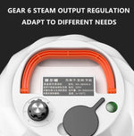 Steam Cleaner High Temperature Sterilization Cleaning Machine with 1L Water Tank, 220V EU Plug, 220V UK Plug, 110V US Plug, 220V AU Plug, 220V US Plug