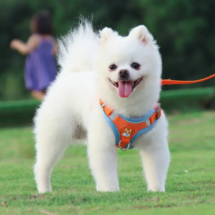 BL-867 Pet Chest Straps Reflective Dog Traction Rope, Size:, S, M, L, XL