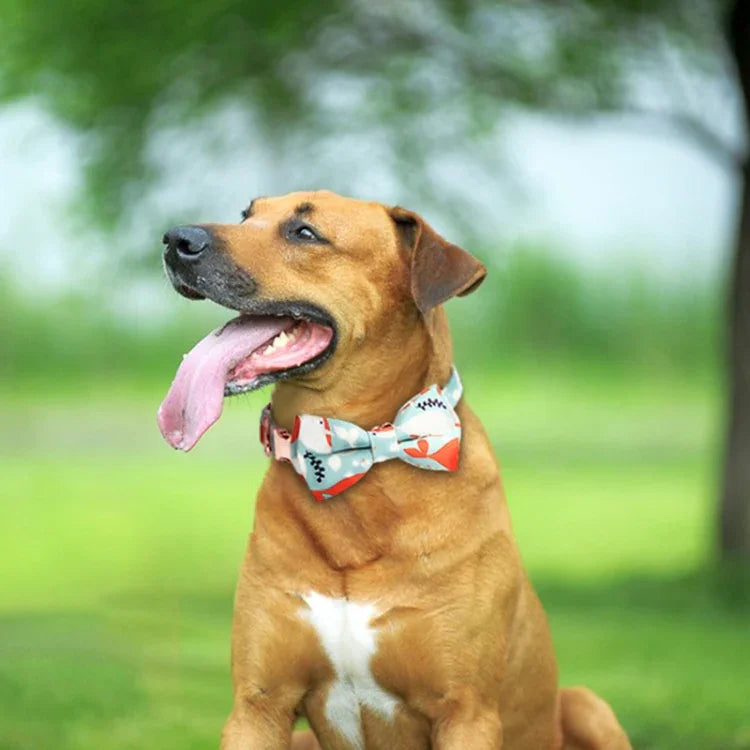 Rose Gold Buckle Pet Detachable Bow Collar, Size:, S 1.5x28-40cm, M 2.0x33-50cm, L 2.5x38-60cm, XL 2.5x43-70cm