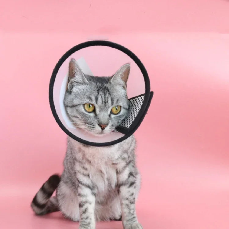 Pet Protective Headgear Cat And Dog Anti-Bite Collar After Cosmetic And Operation, Size: No.7/8cm, No.7, No.6, No.5, No.4, No.3