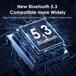 B39 2 In 1 Bluetooth 5.3AUX Music Receiver TV Computer Adapter, B39