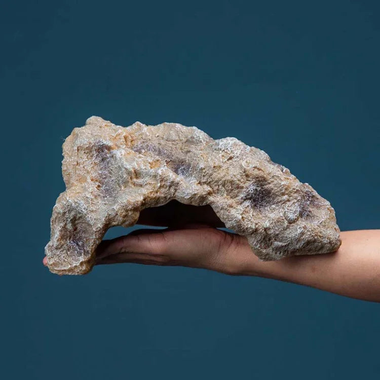 画像代替テキスト