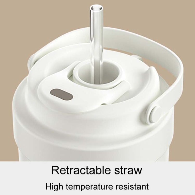 316 Stainless Steel Insulated Mug Portable Carry-On Dual Drink Coffee Cup With Straw, 500ml