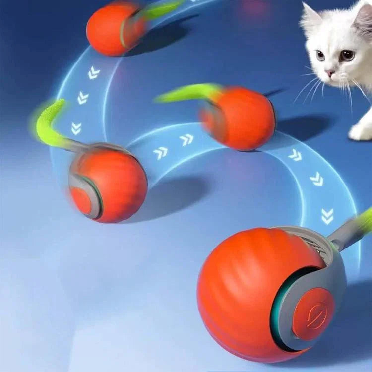 Smart Self Rolling Ball Interactive Cat Toys USB Rechargeable Cat Ball Two Speed Adjustment, TUTU Orange, TUTU Blue