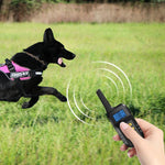 T720 1000m Pet Intelligent Electric Shock Remote Control Dog Training Device, Yellow Remote, Red Remote